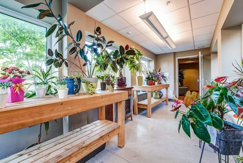 Indoor room with potted plants on wooden benches beside large windows.