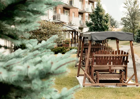 Covered wooden patio swing beside trees and a building with balconies