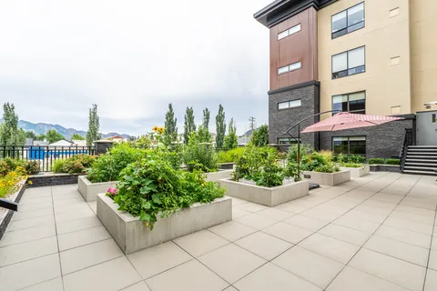 Paved terrace with raised garden beds, an umbrella and steps beside the building