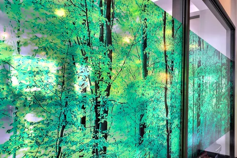 Glass panels with forest imagery beside a strip of flooring