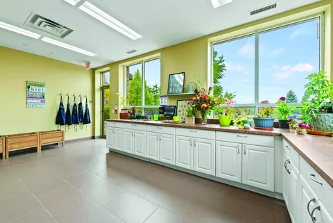 Counter with potted plants and gardening supplies beside large windows
