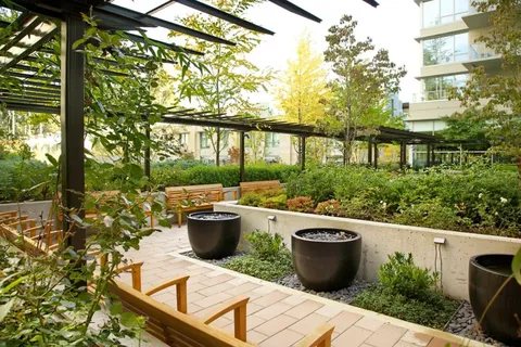 Landscaped garden with wooden benches, pergolas and large planters