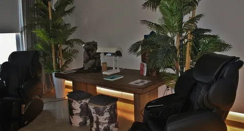 Wellness room with two massage chairs, plants and a table.