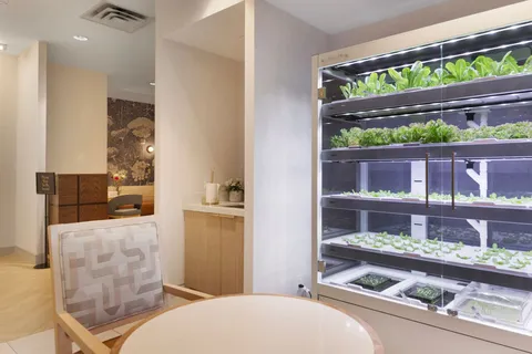 Indoor growing shelves beside a round table and chairs.