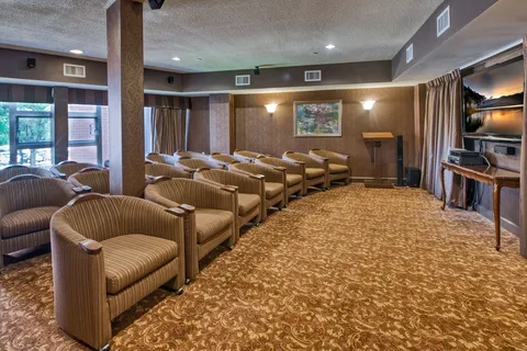 Cinema room with rows of armchairs and a television