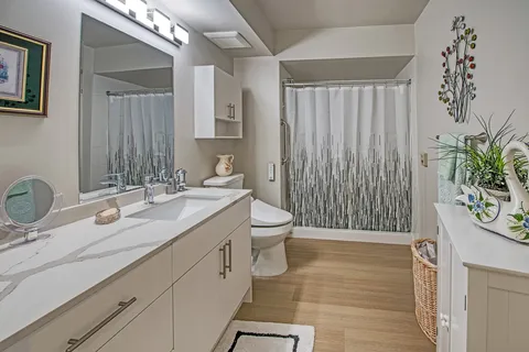 Suite bathroom with a vanity, mirror and shower curtain
