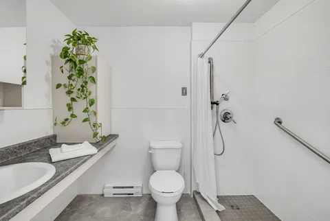 Accessible bathroom with a shower, toilet, sink and grab rails