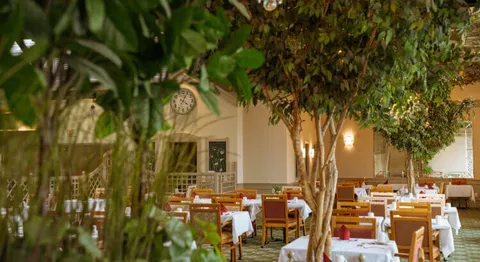 Dining tables and chairs beneath indoor trees and chandeliers