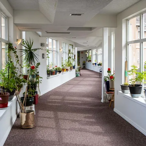 Windowed corridor with carpet, chairs and potted plants.
