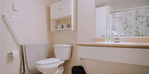 Bathroom with a toilet, vanity and mirror.