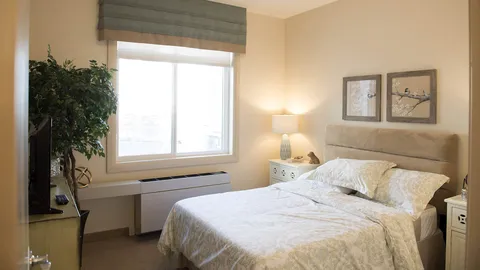 Bedroom with a large bed, pale bedding and bird pictures above the headboard