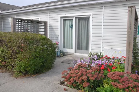 Patio doorway beside shrubs and flowering plants