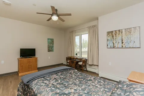 Single bed beside a television, wooden drawers and a window