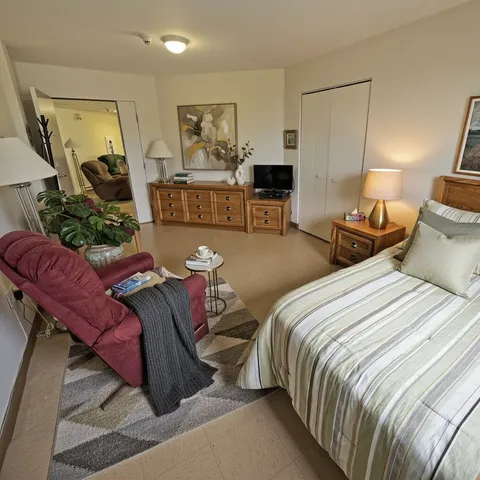 Bedroom with a bed, red recliner, television, wooden drawers and a mirror