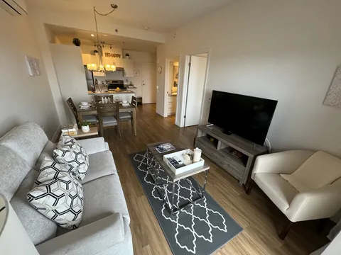 Apartment living and dining room with a sofa and television.