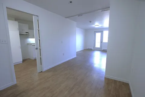Empty apartment interior with pale flooring and doorways to adjoining rooms.