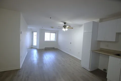 Empty apartment living area with a window and white kitchen cabinets.