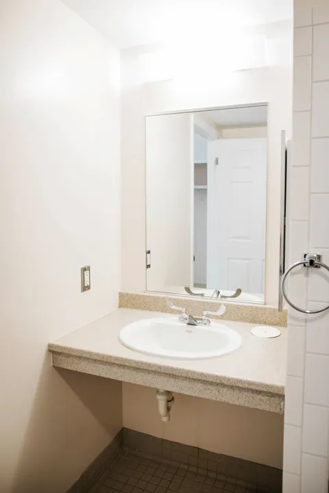 Bathroom vanity with sink and large mirror