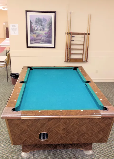 Room with a green-felt pool table, a cue rack and framed landscape artwork