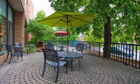 Patio seating beneath umbrellas beside trees.