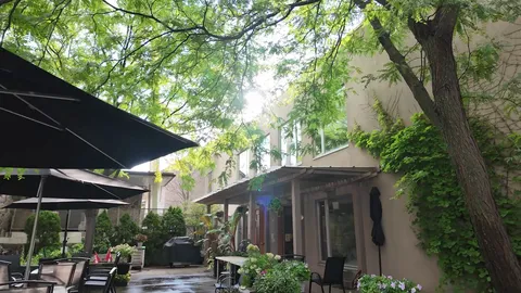 Tree-shaded courtyard with patio umbrellas, outdoor tables and chairs