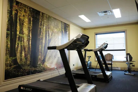 Fitness room with treadmills beside a forest wall mural.