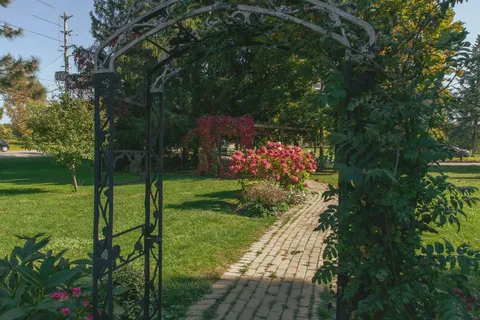 Garden path beneath a leafy metal arch beside flowering shrubs