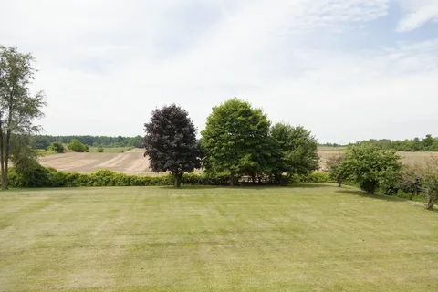 Mown lawn with trees beside an open field