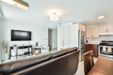 Apartment living and kitchen area with a sofa and television.