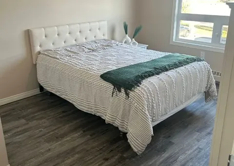 Bedroom with a padded headboard, patterned bedding and a window