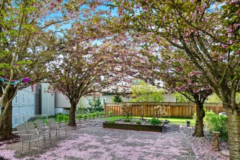 Courtyard garden with flowering trees and benches.