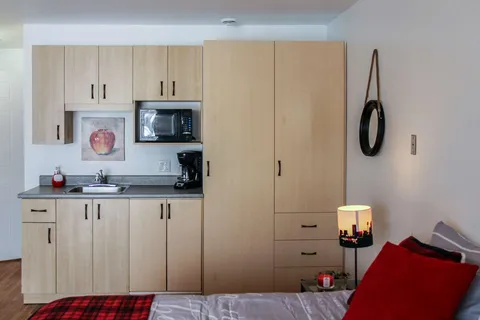 Studio kitchenette with wooden cupboards and a microwave.