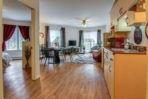 Suite kitchenette and adjoining living room.