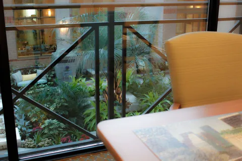 Dining table beside a window overlooking an indoor garden.