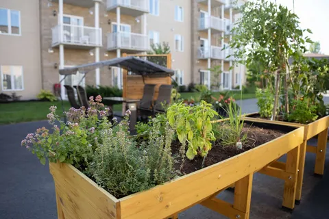 Raised garden planter beside the residence building.