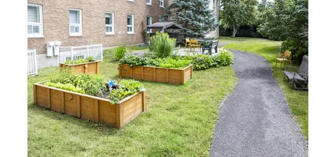 Raised garden beds beside a paved path and the building.