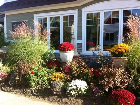 Residence windows behind a flower garden with ornamental grasses