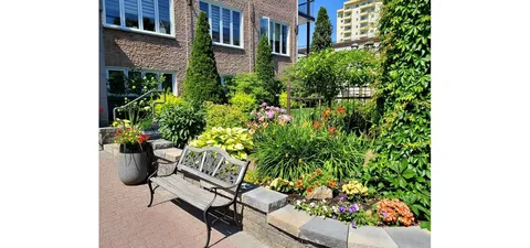 Wooden garden bench beside flowers, shrubs and a low stone wall
