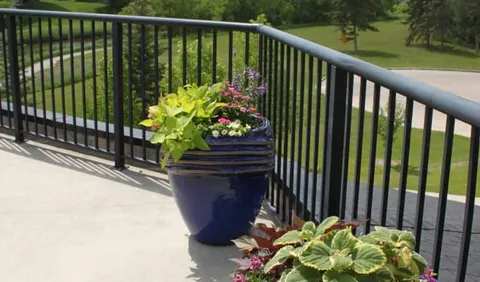 Balcony with a metal railing and planted flower pots