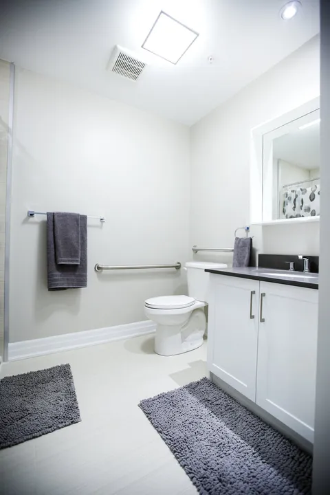 Bathroom with a vanity, toilet and mirrored cabinet