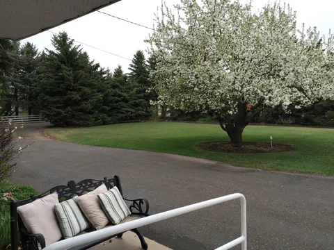Covered outdoor seat overlooking a flowering tree and lawn.