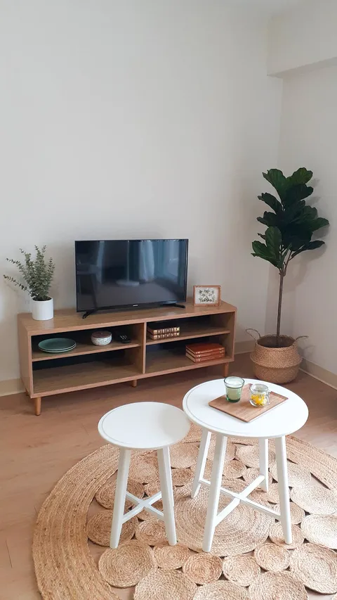Suite sitting area with a television, side tables, plants and a rug.