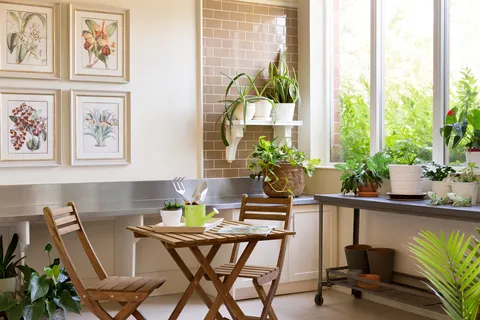 Conservatory with plants, a worktable and folding chairs.