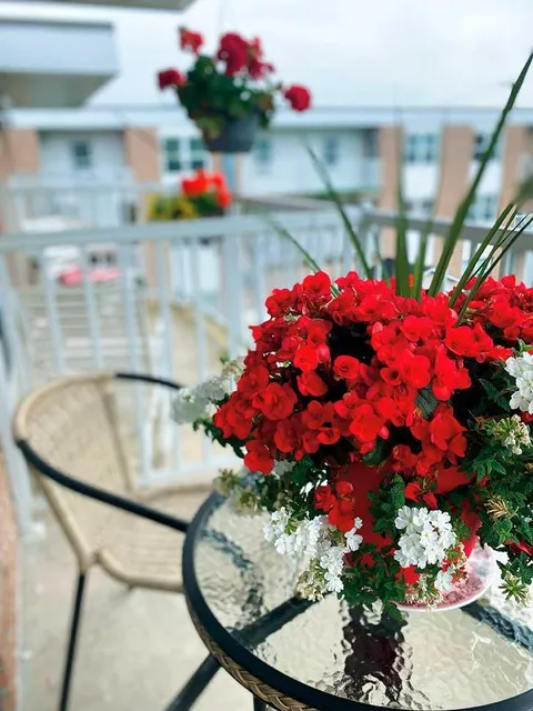 Balcony with a glass table and potted flowers.