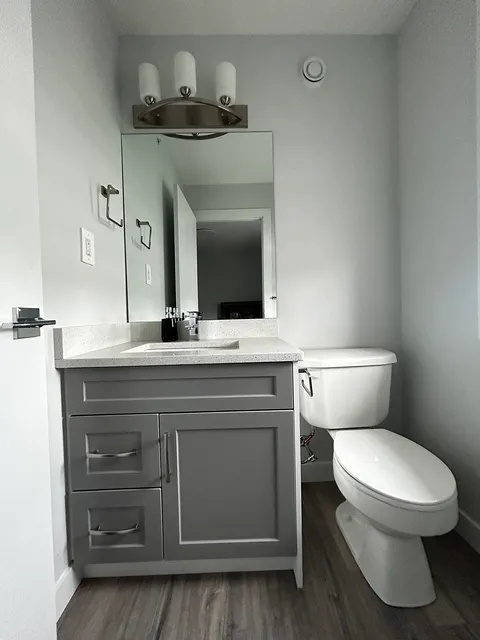 Bathroom with a grey vanity, wall mirror and toilet.