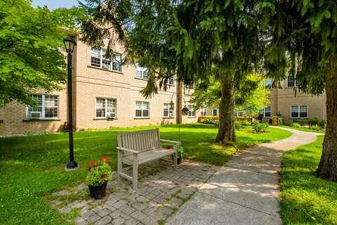Bench beside a paved garden path, trees and planted pots.