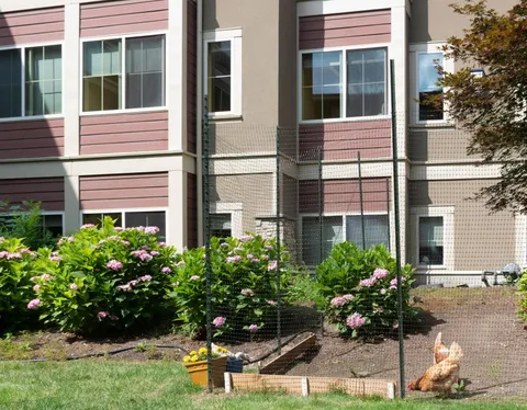 Residence facade behind flower beds with a hen in the foreground