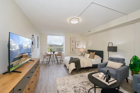 Studio suite with a bed, armchairs, television and dining table.