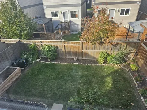 Fenced garden with grass, shrubs and a tree