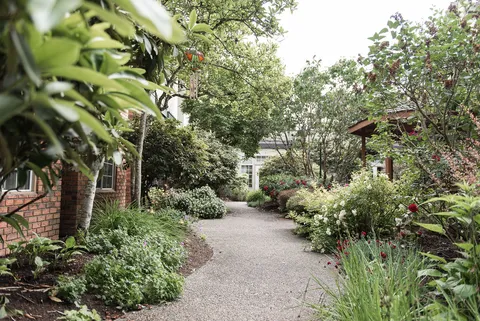 Garden path beside flowers and shrubs.